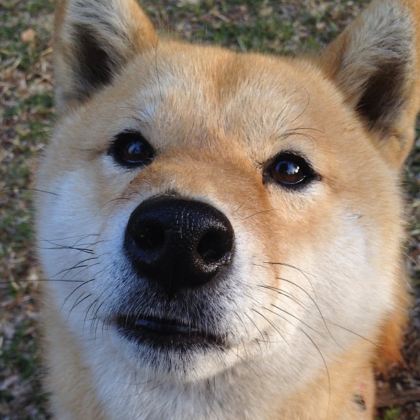 爱游戏中国官方网站平台-外国足球友谊赛，文化交流新平台，外国足球联赛