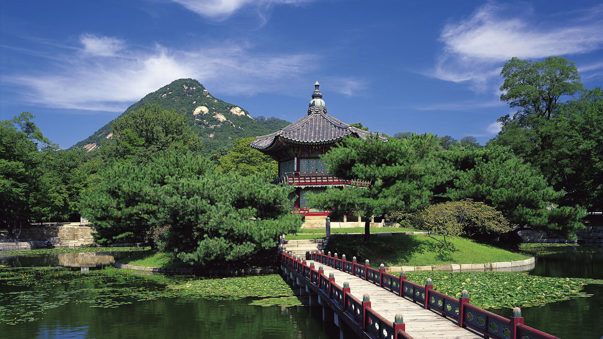 AYX体育-中国足球的青少年足球培训体系建设方案实施，青少年足球培训基地