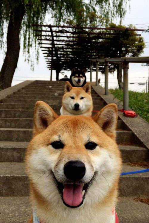 爱游戏体育（AYX）官方APP下载-亚洲联赛球员转会动态最新消息，亚洲足球联赛赛程表