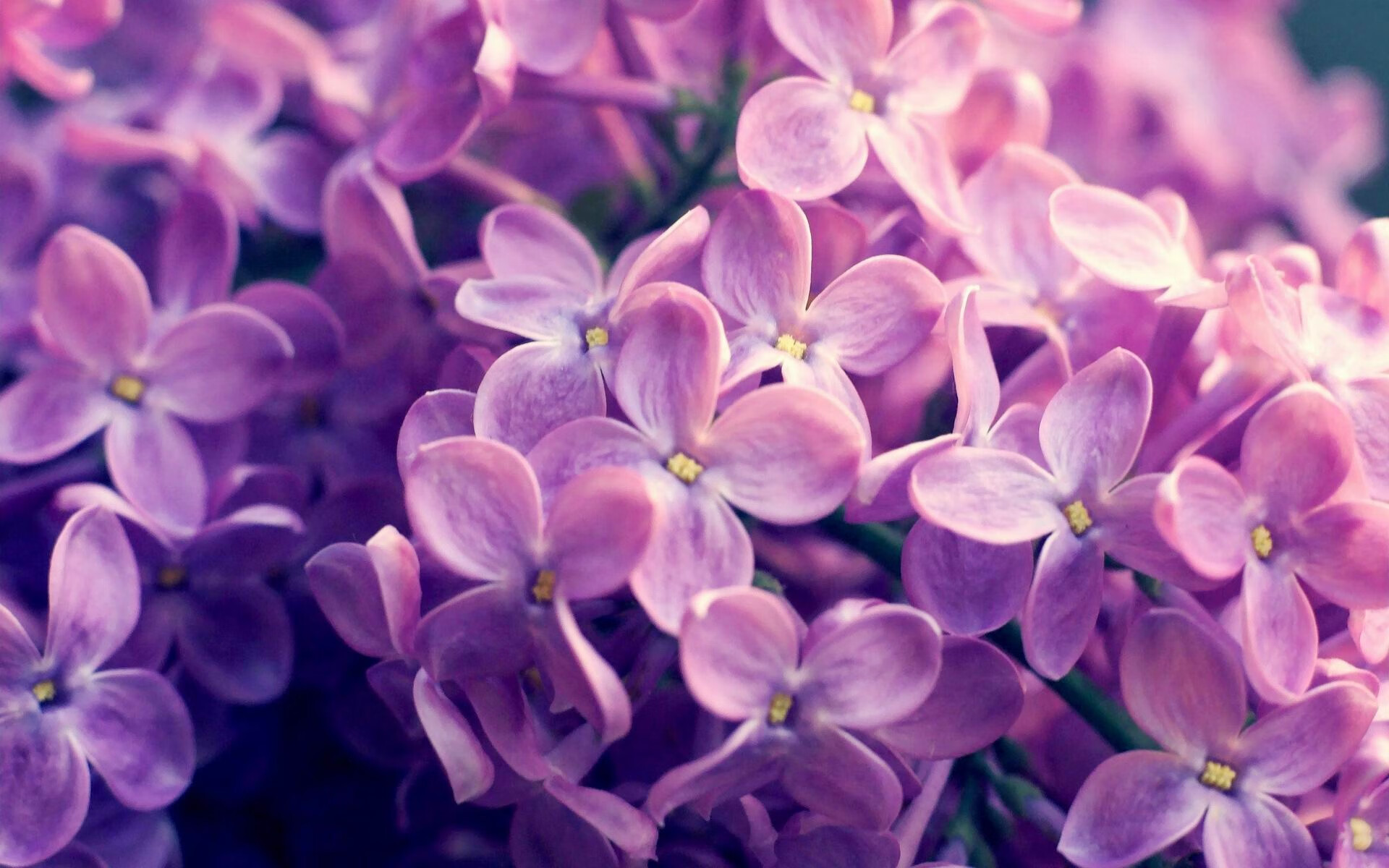 公牛球员接受新能力测试 效果惊人,公牛队员2021