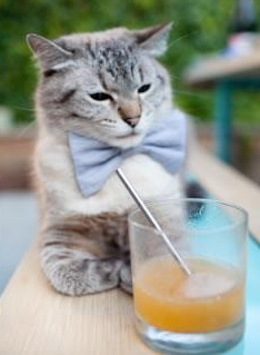 爱游戏体育-曼城头号射手阿圭罗蝉联英超金靴，赛季表现抢眼，阿圭罗在曼城球衣号码