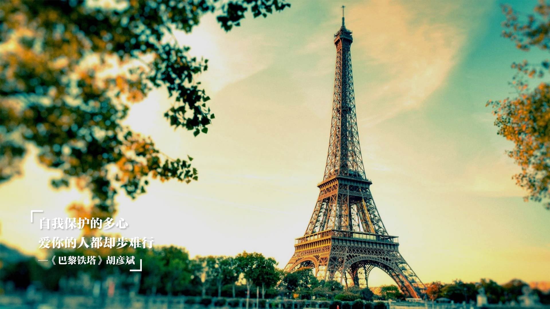 曼联主场力克布莱顿,重回胜轨,曼联击败布莱顿