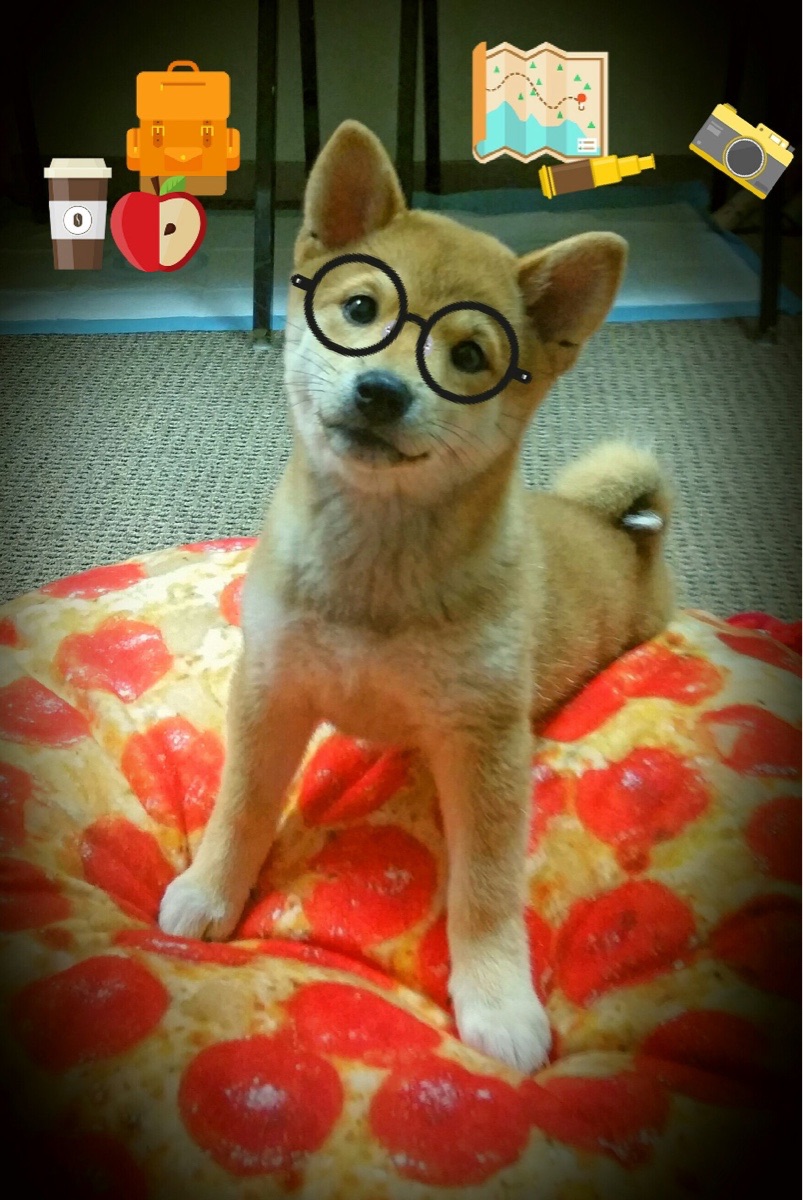 爱游戏下载-火箭新秀亨德森斩获20+10，展示全能潜力，亨德森后卫