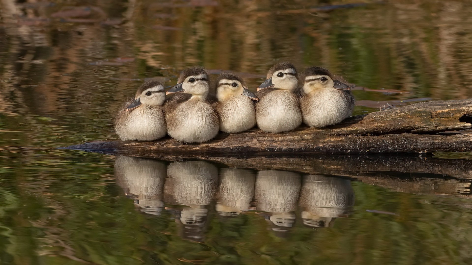 爱游戏娱乐-电竞城市打造电竞产业链金融服务体系，何为电竞产业