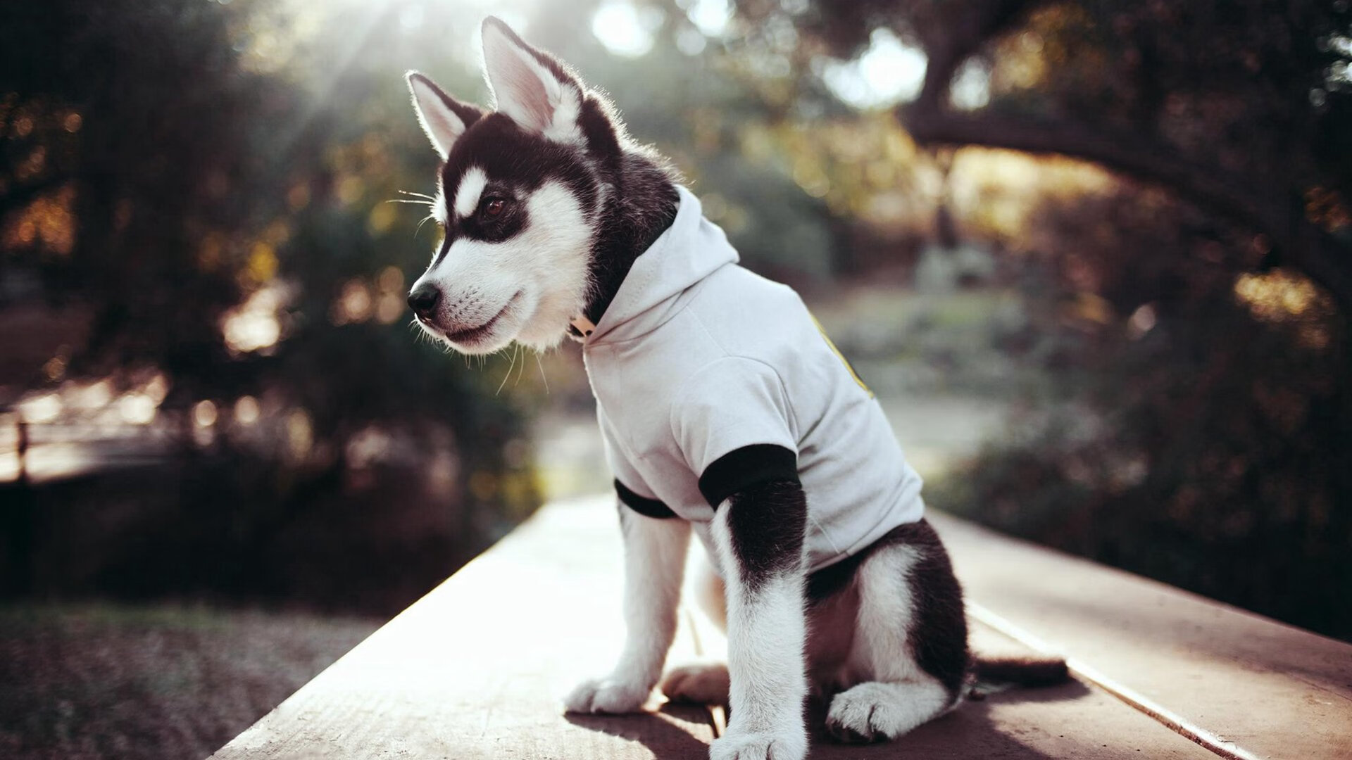 爱游戏体育平台-精彩的比赛中球队们展现出无比激情的角逐，精彩纷呈的足球比赛