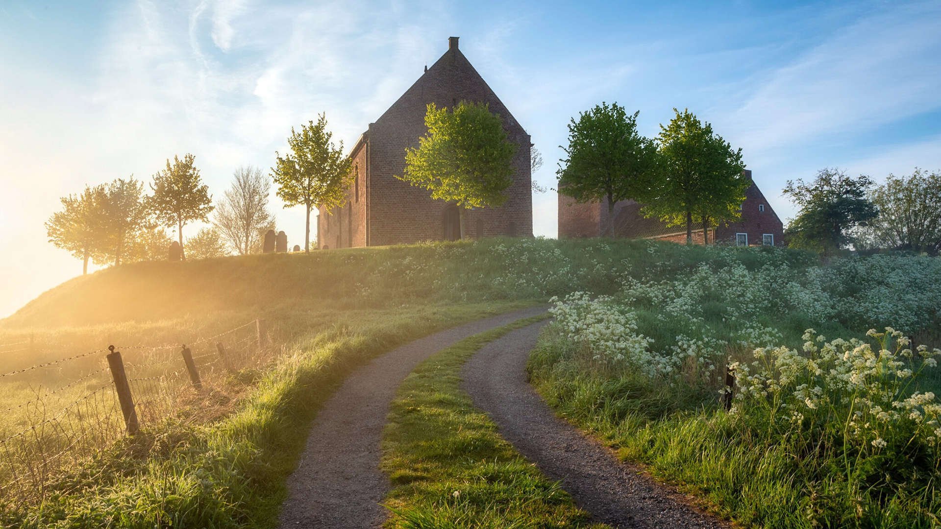 AYX体育官网-美因茨球队客场战胜对手，积分榜上升，美因茨现主帅是谁