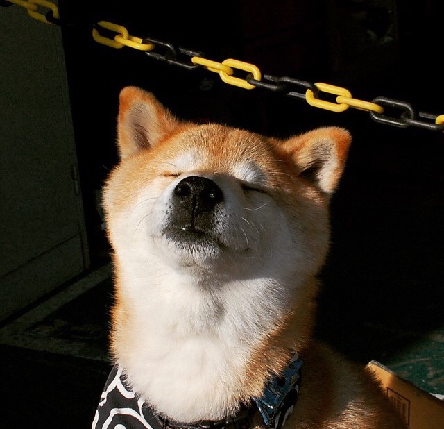 爱游戏在线登录入口-莱比锡红牛将在主场挑战法兰克福，莱比锡红牛换帅