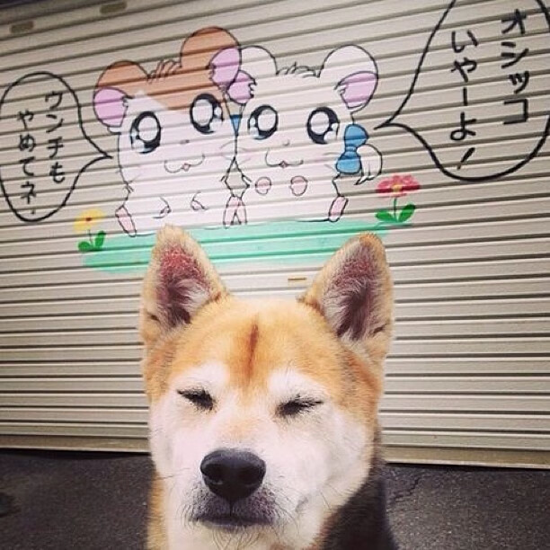 AYX体育-阿斯顿维拉击败沃特福德，继续保持不败，阿斯顿维拉vs沃特福德