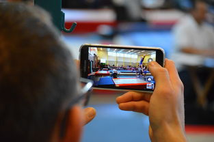 爱游戏综合娱乐-中国篮球联赛市场细分与精准营销研究，全国篮球联赛优势