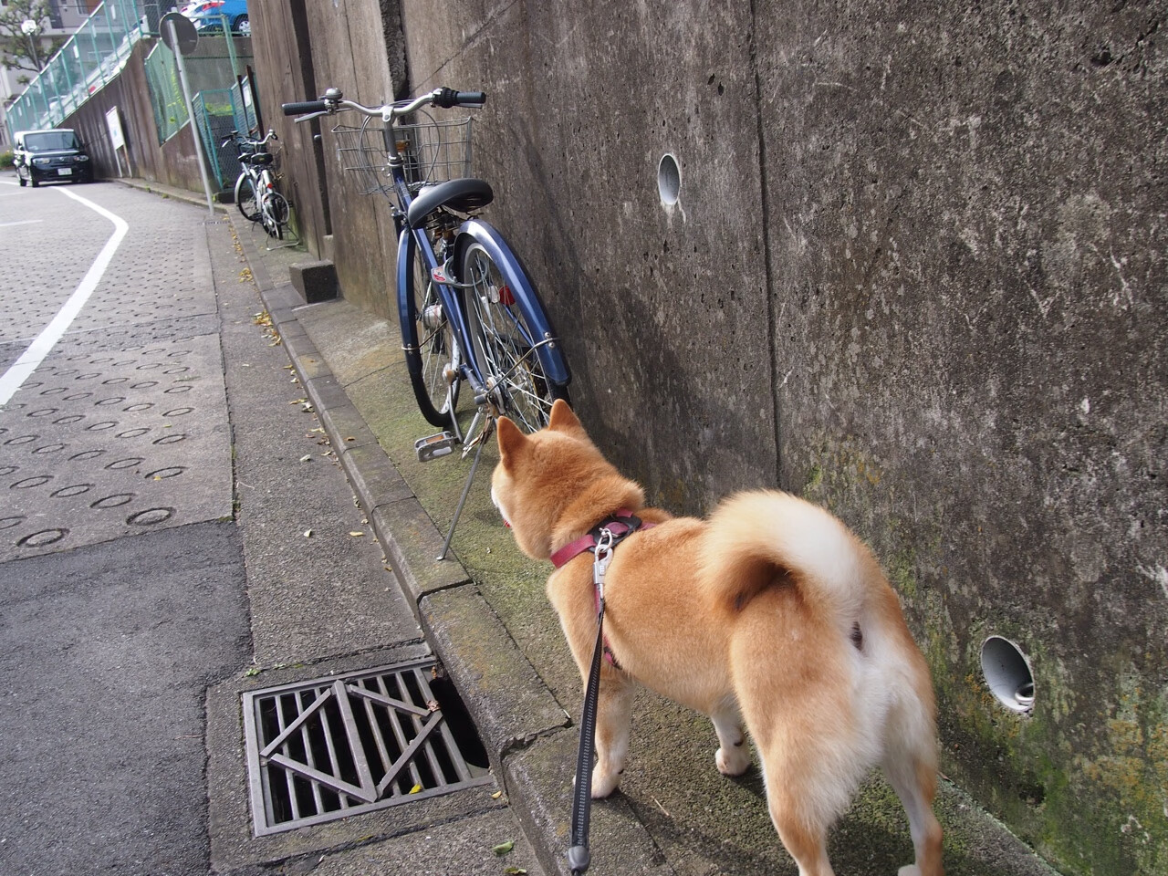 篮球专项技能创新训练方法研究,篮球专项技能创新训练方法研究报告