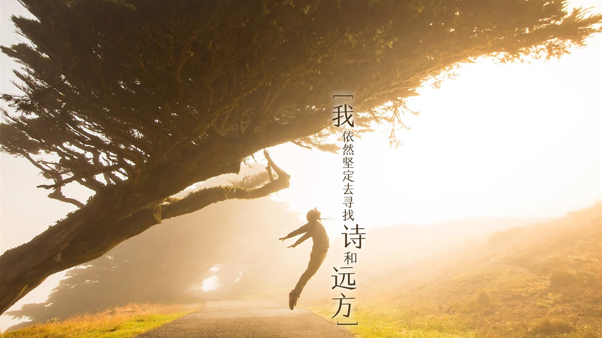 高校体育专业课程体系改革探讨,高校体育专业课程体系改革探讨论文