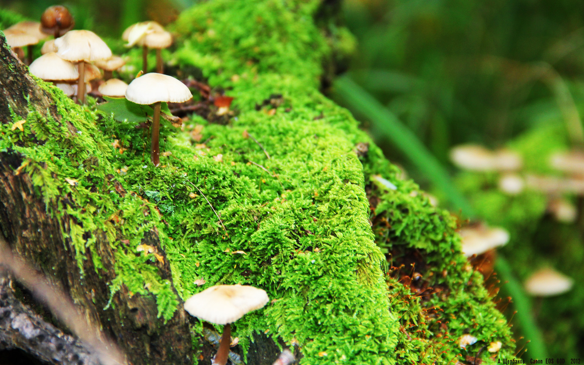 AIYOUXI.COM-电竞招聘需求激增新职业路径受到关注，电竞相关职业 招聘