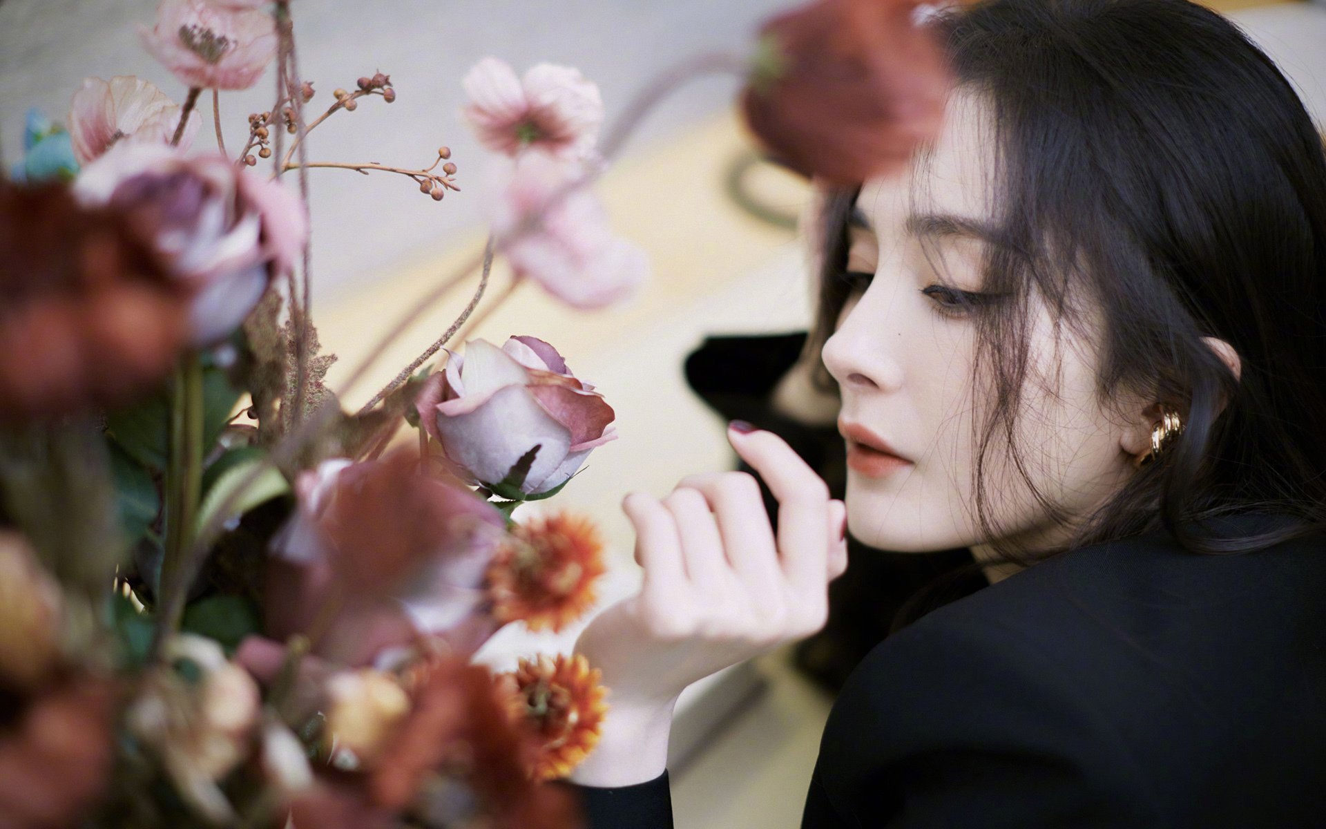 “美洲狮队打破纪录,力争橄榄球锦标赛冠军”