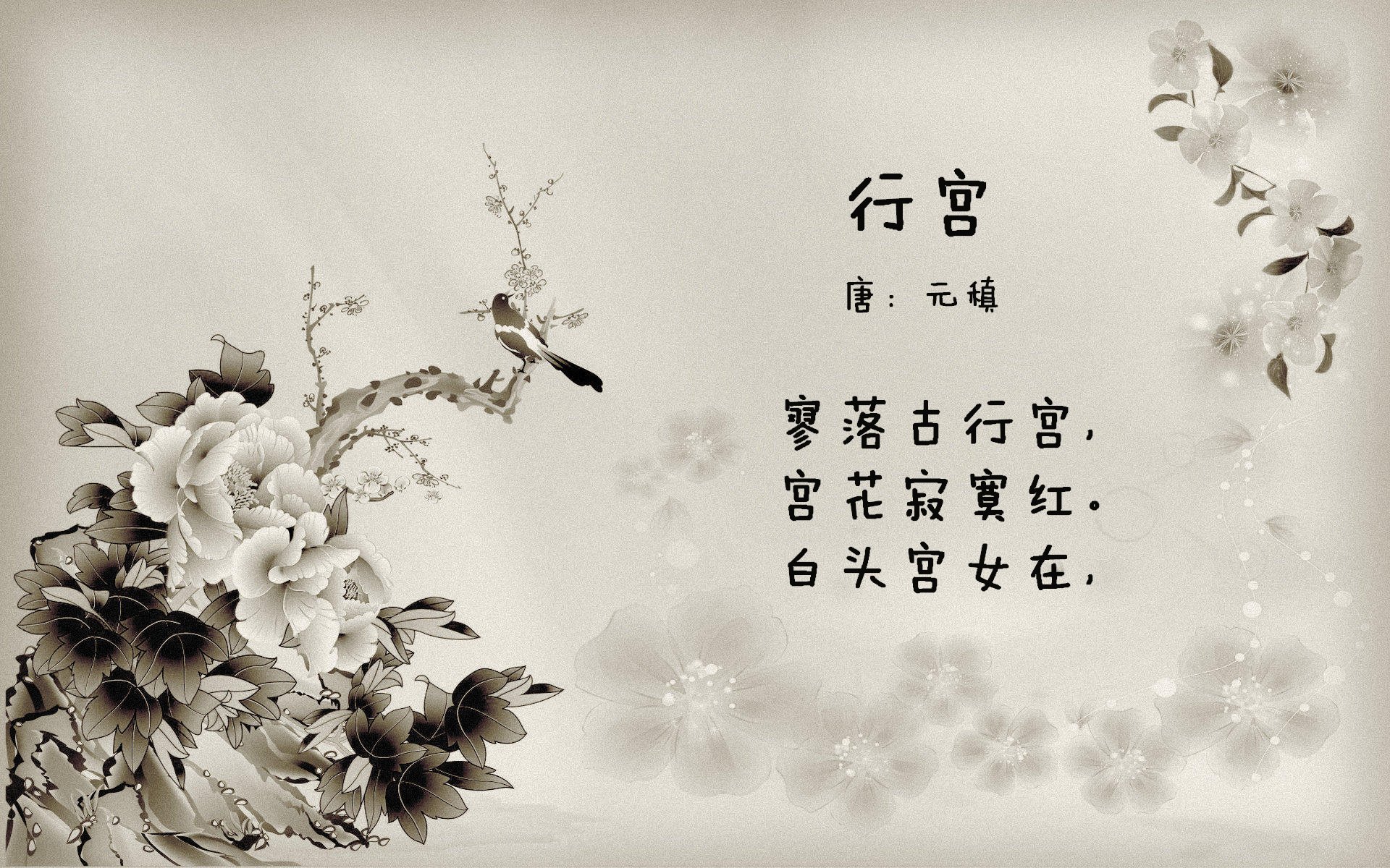 “尼古拉斯·桑特基的精准罚球与领袖气质,帮助阿根廷美洲狮队屡创佳绩”