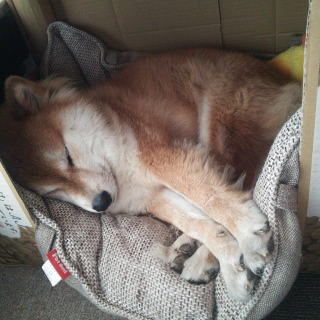 卡萨斯用实力回应所有质疑,卡萨斯主教