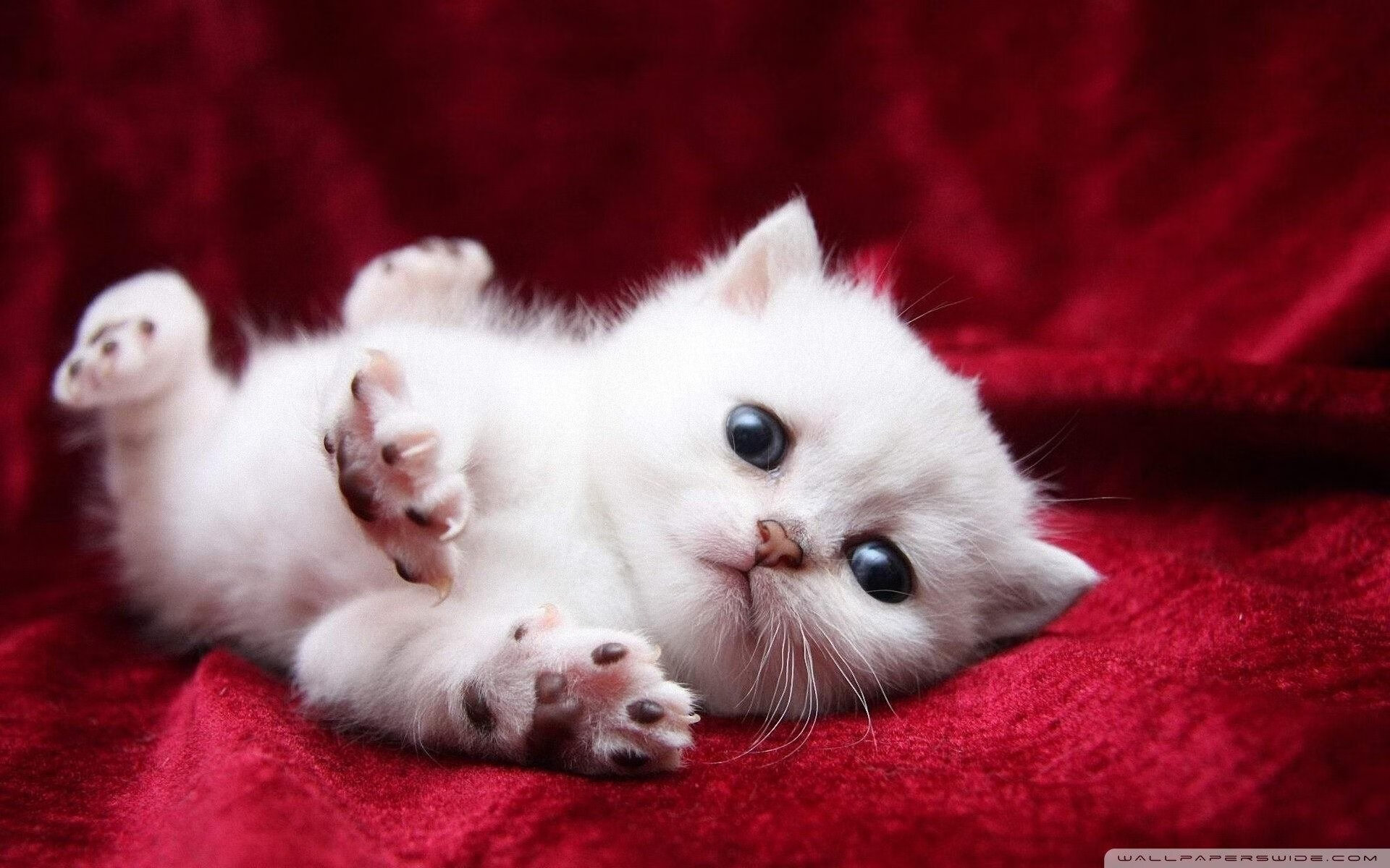 欧洲杯震撼逆转:最后一击的绝妙配合,欧洲杯爆冷出局