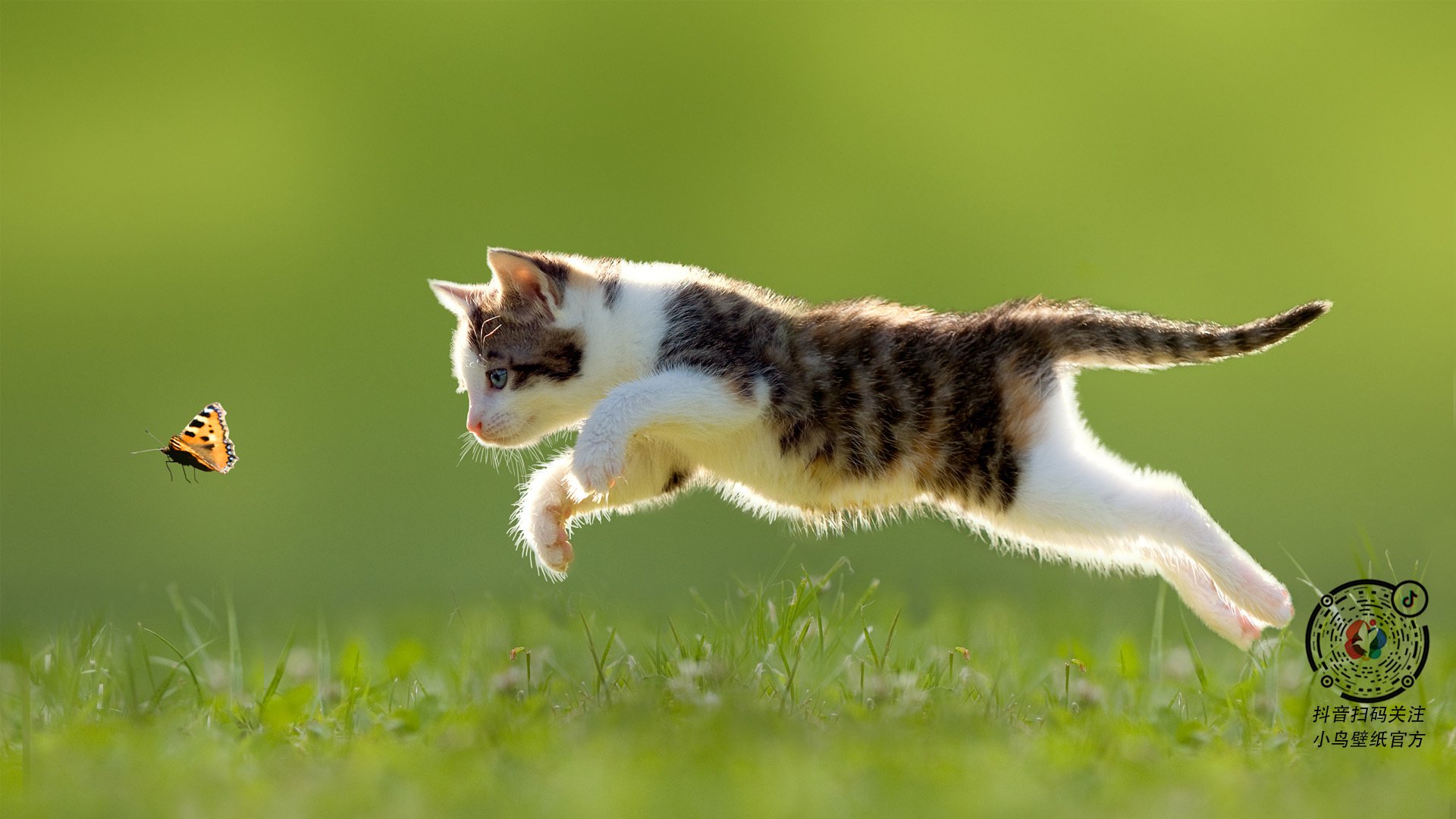 爱游戏体育平台-鹈鹕小将首次登场贡献全场最高得分，鹈鹕队小前锋